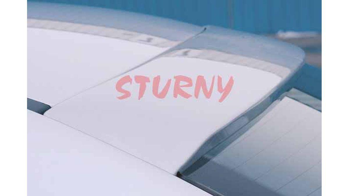 RIEGER+TUNING+Casquette+de+toit+pour+Mercedes+Classe+C+W203+berline