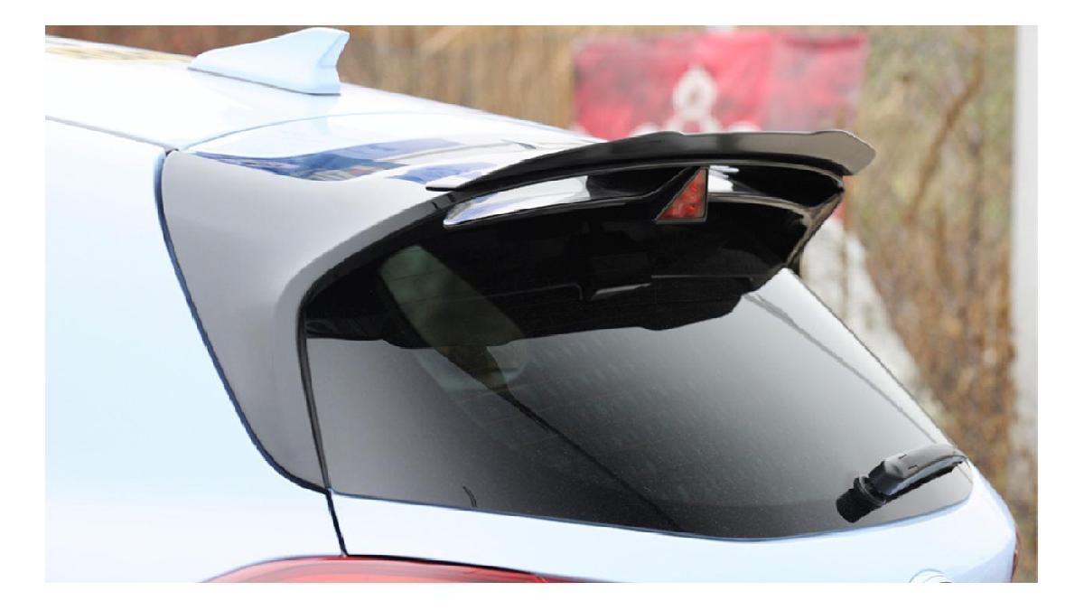 RIEGER+TUNING+Becquet+de+toit+pour+HYUNDAI+i30N+%282021-%29+